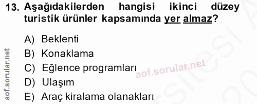 Soru 13