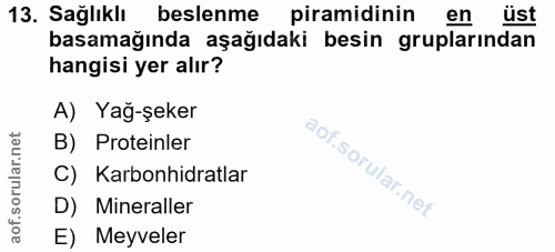 Soru 13