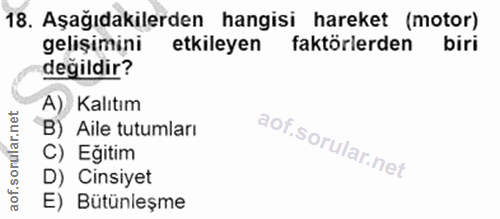 Soru 18