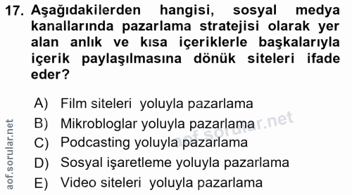 Soru 17