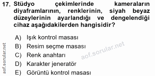Soru 17