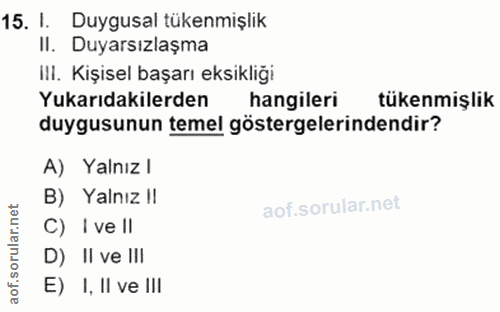 Soru 15