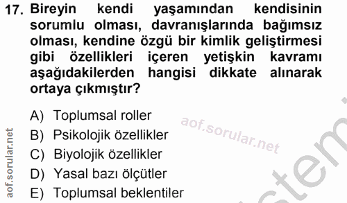 Soru 17