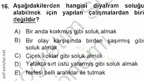 Soru 16