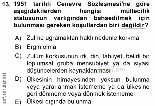 Soru 13