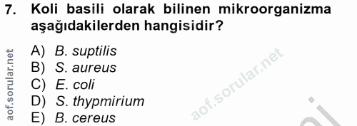 Soru 7
