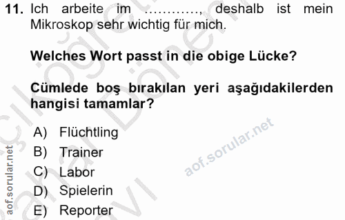 Soru 11