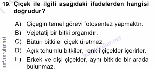 Soru 19
