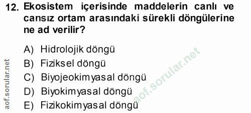 Soru 12