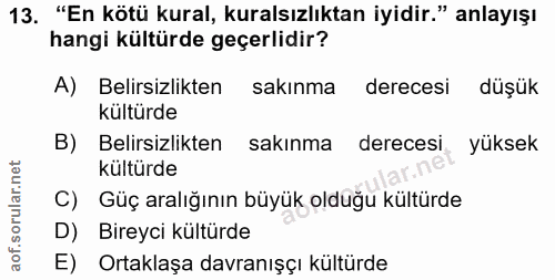 Soru 13