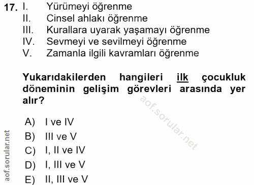 Soru 17