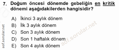 Soru 7