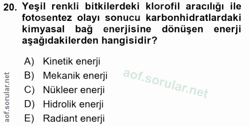 Soru 20