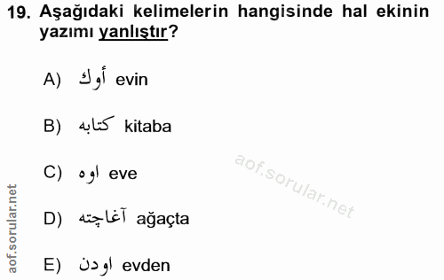 Soru 19