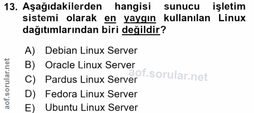 Soru 13