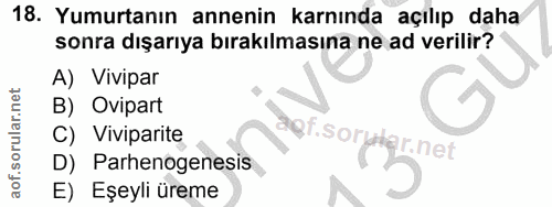Soru 18