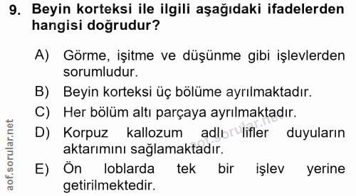 Soru 9