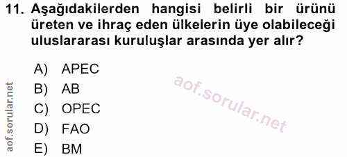 Soru 11