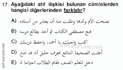 Soru 17