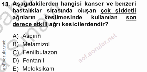 Soru 13