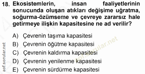 Soru 18