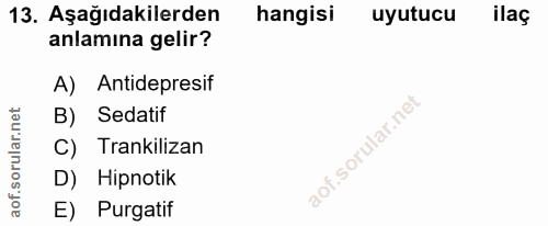 Soru 13