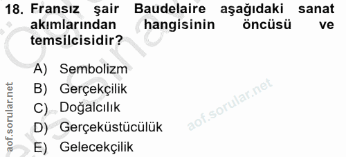 Soru 18
