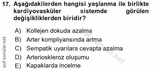 Soru 17