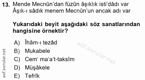Soru 13