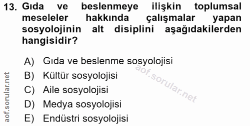 Soru 13