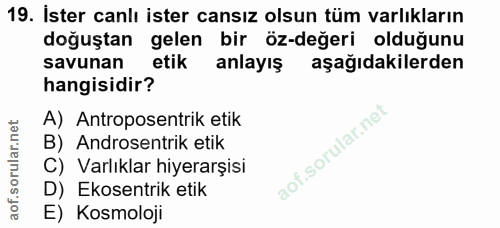Soru 19