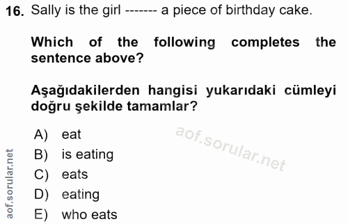 Soru 16