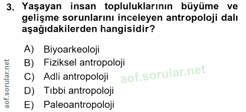 Soru 3