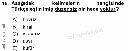 Soru 16