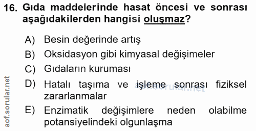 Soru 16