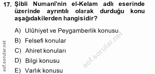 Soru 17