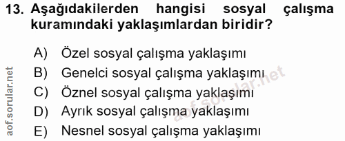 Soru 13
