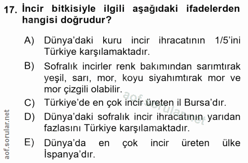 Soru 17