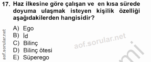 Soru 17