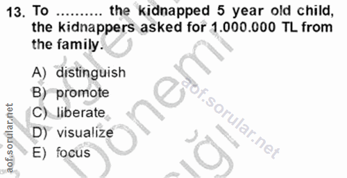 Soru 13
