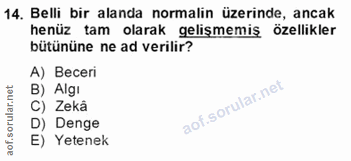 Soru 14
