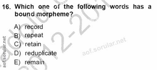 Soru 16