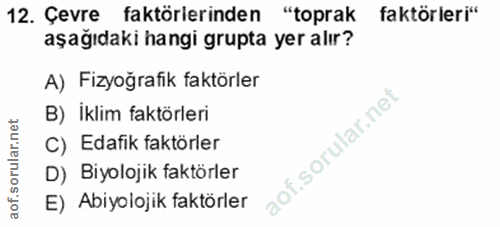 Soru 12