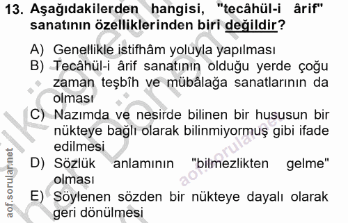 Soru 13