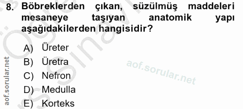 Soru 8