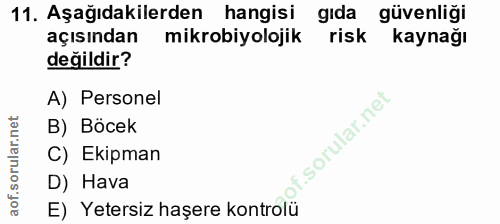 Soru 11