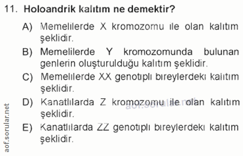 Soru 11