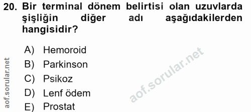 Soru 20