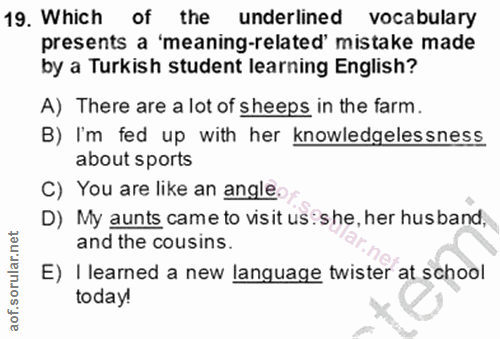 Soru 19