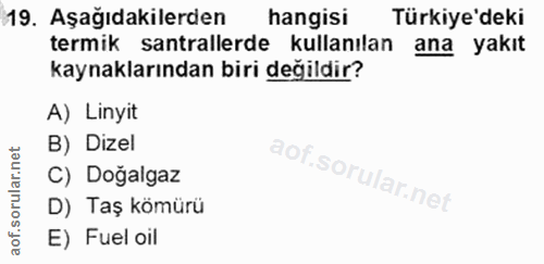 Soru 19